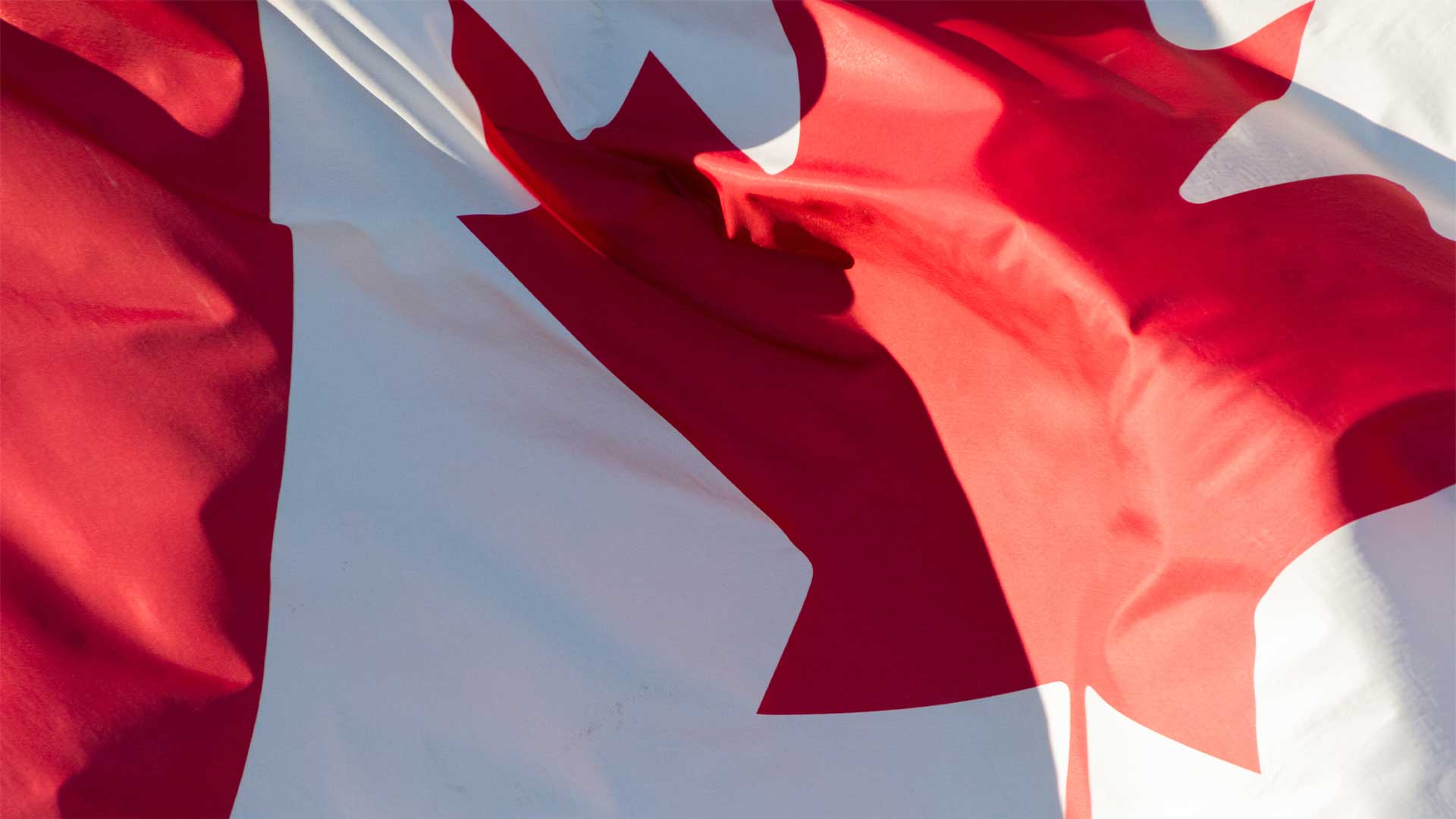 Statement from Conservative Leader Pierre Poilievre on St-Jean-Baptiste Day